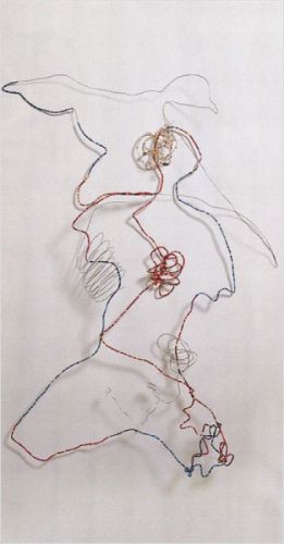 Celia Brown ’Zeichnungen und Objekte‘ 12.01. - 28.02.2004